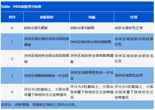 IMQ诱导小鼠银屑病模型 IMQ诱导小鼠银屑病模型