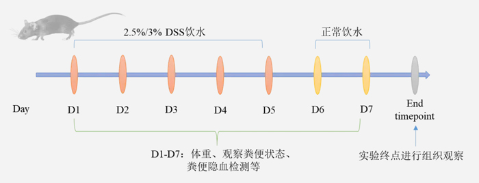 必威官方首页官网betway病理切片机在炎症性肠病(IBD)模型中的应用 必威官方首页官网betway病理切片机在炎症性肠病(IBD)模型中的应用