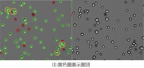 细胞计数仪如何挑选 细胞计数仪如何挑选