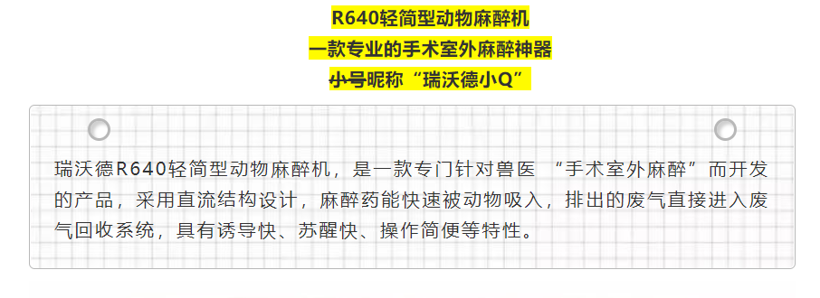 6-必威官方首页官网betway小Q.png