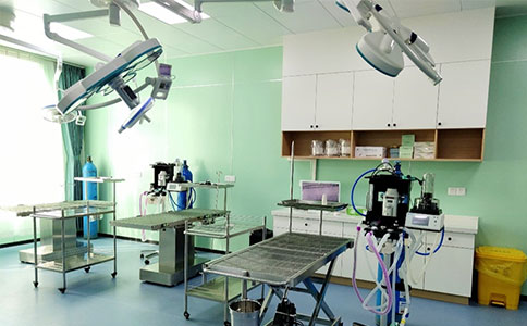 必威官方首页官网betway与瑞派宠物医院以人才培养助力动物健康事业发展 