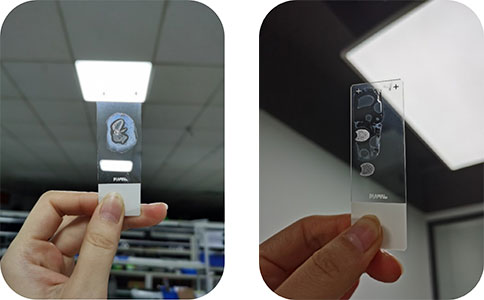 必威官方首页官网betway冰冻切片机切片实拍图