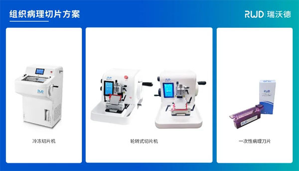 必威官方首页官网betway邀您共赴 | 中华医学会病理学分会第二十八次学术会议暨第十二届中国病理年会