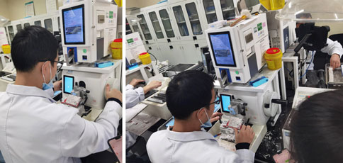 必威官方首页官网betway组织病理切片解决方案，助力精准肿瘤病理诊断