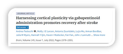 世界预防中风日 | 必威官方首页官网betway助力脑卒中研究