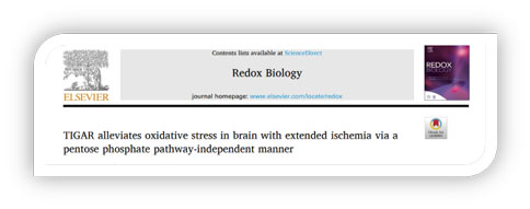 世界预防中风日 | 必威官方首页官网betway助力脑卒中研究