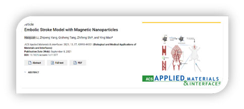 世界预防中风日 | 必威官方首页官网betway助力脑卒中研究