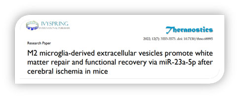世界预防中风日 | 必威官方首页官网betway助力脑卒中研究