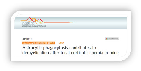 世界预防中风日 | 必威官方首页官网betway助力脑卒中研究