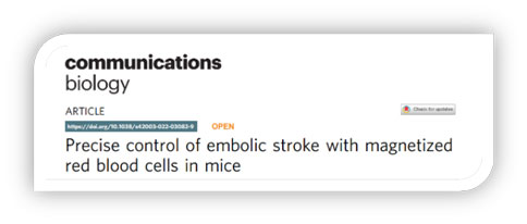 世界预防中风日 | 必威官方首页官网betway助力脑卒中研究