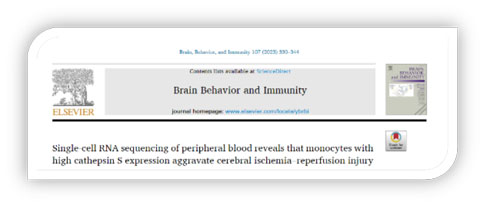 世界预防中风日 | 必威官方首页官网betway助力脑卒中研究