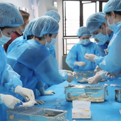 更适合动物科研宝宝的免费实操培训，来了！必威官方首页官网betway-达科为-灵赋拓普