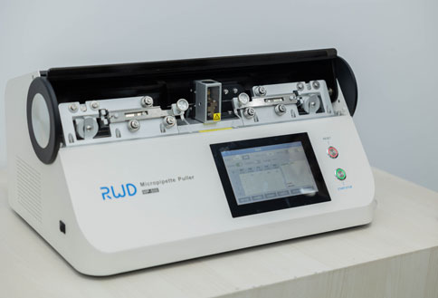 精彩回顾 | 连开两期，必威官方首页官网betway光遗传与光纤记录技术培训班圆满成功！