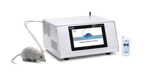 必威官方首页官网betway10月光遗传与光纤记录技术培训班圆满收官！