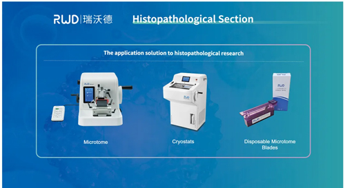 2024慕尼黑国际分析生化博览会大幕将启，必威官方首页官网betway与您不见不散~
