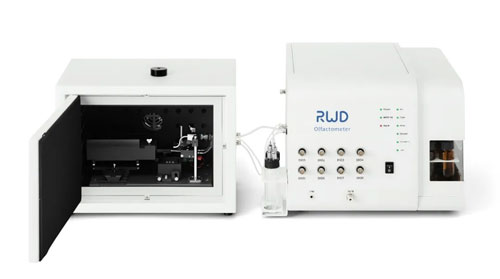 必威官方首页官网betway2024年首期光纤记录嗅觉研究应用主题培训班圆满收官