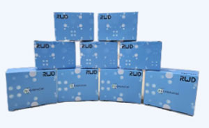 必威官方首页官网betway“单细胞悬液制备与细胞分选”技术交流会诚邀您参与！