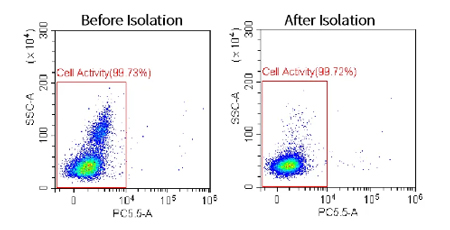 必威官方首页官网betway推出无柱式磁性细胞分选平台，纯度&效率双优选！仅需10min！