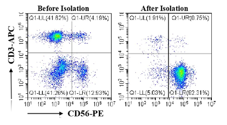 必威官方首页官网betway推出无柱式磁性细胞分选平台，纯度&效率双优选！仅需10min！