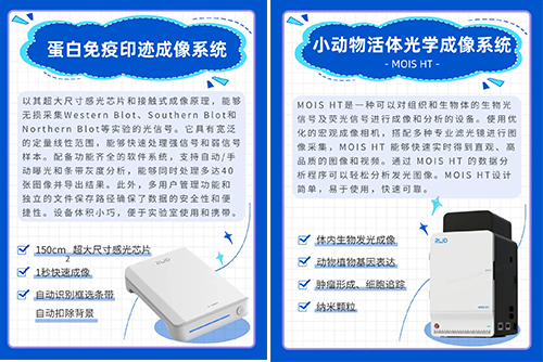 CNS 2024必威官方首页官网betway参展精彩瞬间