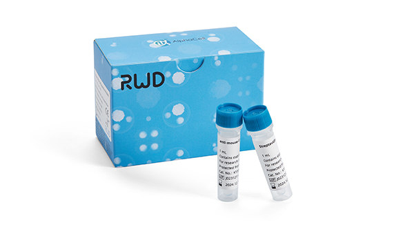 人CD4 T 细胞分选试剂盒-CF（科研级）