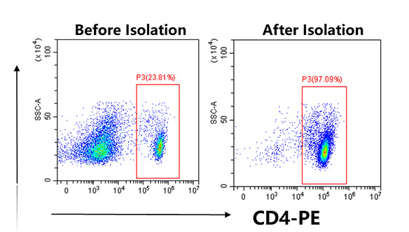 链霉亲和素纳米磁珠（科研级）
