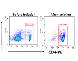 链霉亲和素纳米磁珠（科研级）