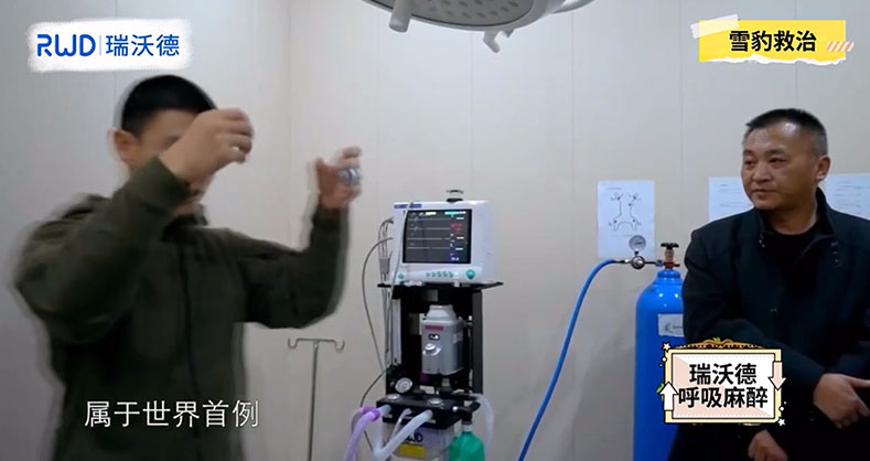 必威官方首页官网betway动物麻醉机