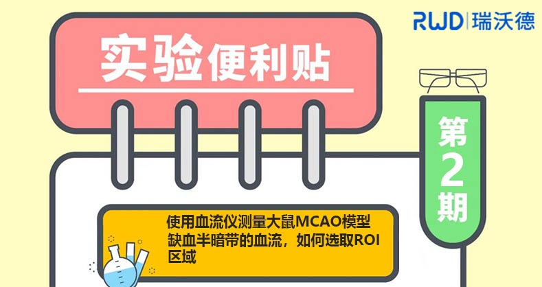 用血流仪测大鼠MCAO模型缺血半暗带的血流，如何选取ROI区域？