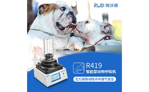 短头犬麻醉要警惕！