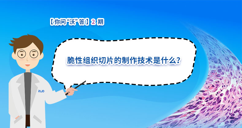 脆性组织切片的制作技术是什么？