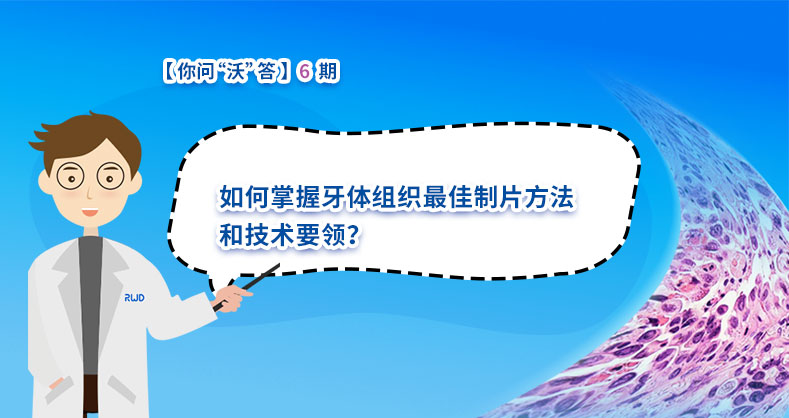 如何掌握牙体组织最佳制片方法和技术要领？ 