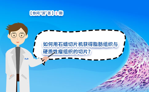 如何用石蜡切片机获得脂肪组织与硬质性瘤组织的切片？