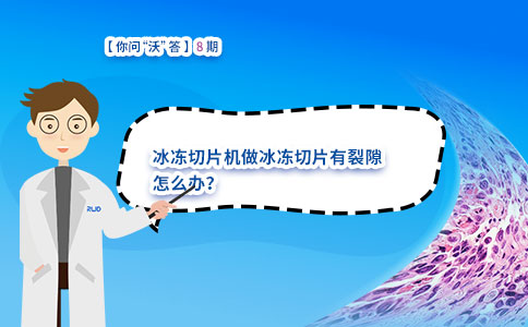 冰冻切片机做冰冻切片有裂隙怎么办？