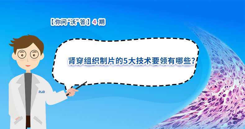 肾穿组织制片的5大技术要领有哪些？