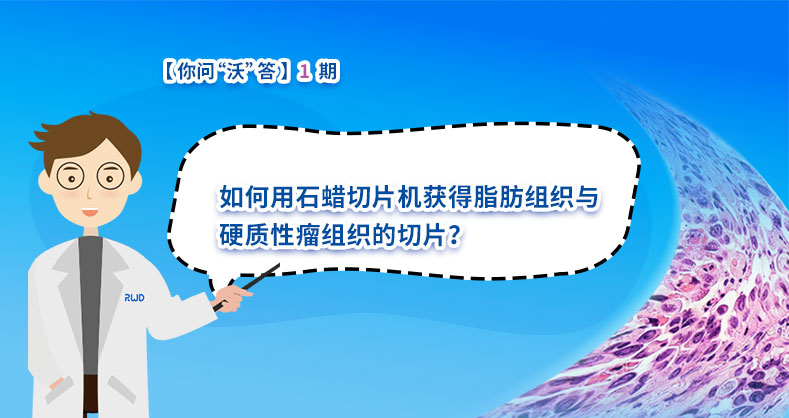 如何用石蜡切片机获得脂肪组织与硬质性瘤组织的切片？