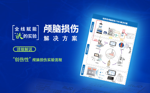 颅脑损伤手术标准操作流程指引