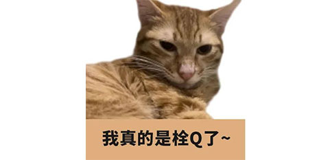 沃谈会 | 扒一扒那些好笑又好哭的审稿意见