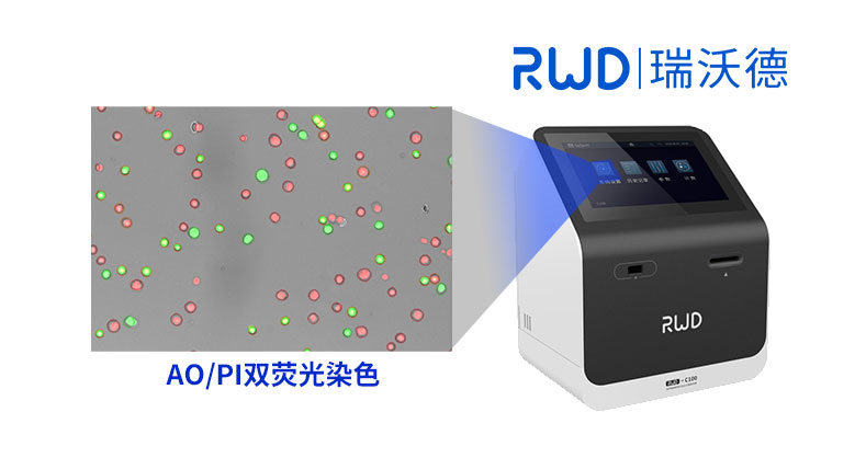 AO/PI双荧光染色指南,速戳查看→ 