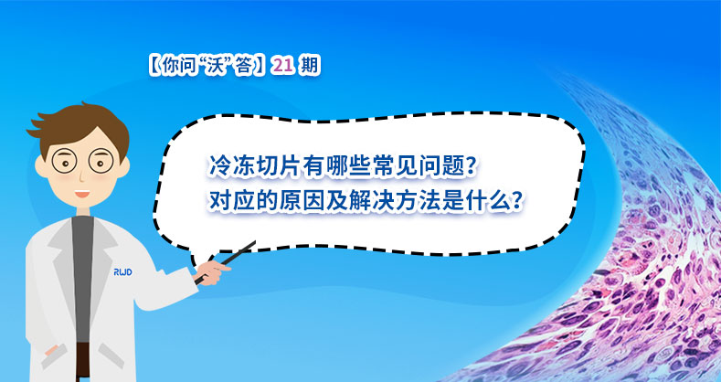 冷冻切片有哪些常见问题？对应的原因及解决方法是什么？ 
