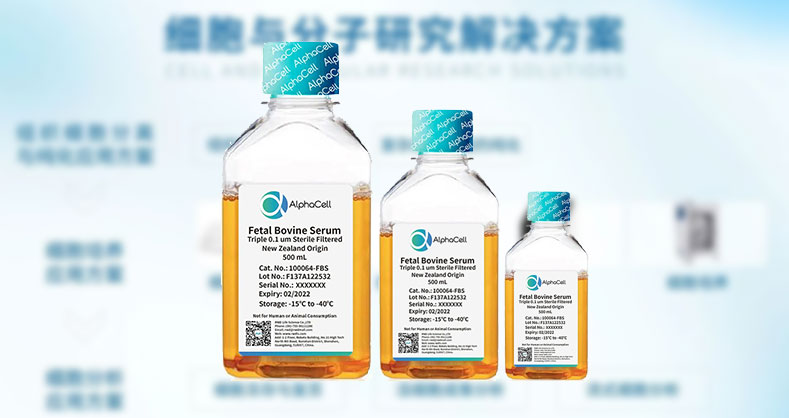 细胞被“黑胶虫”污染了，怎么办？