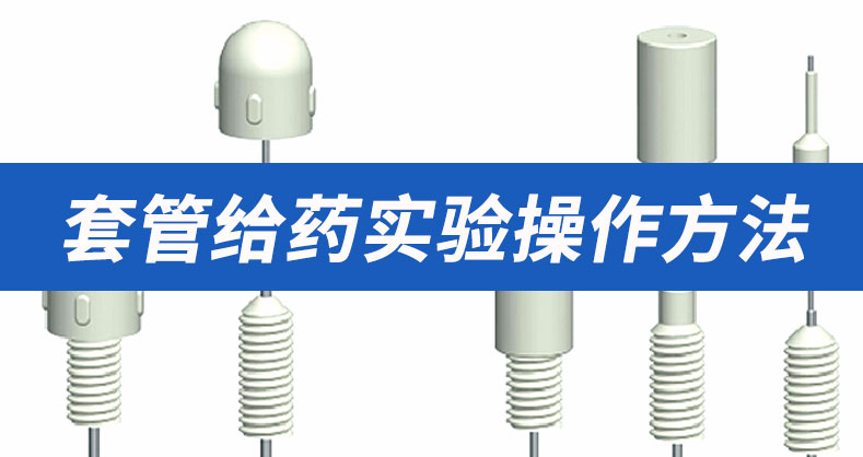 套管给药实验操作方法