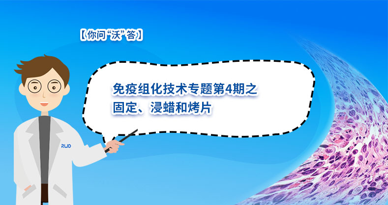 免疫组化技术专题第4期之固定、浸蜡和烤片