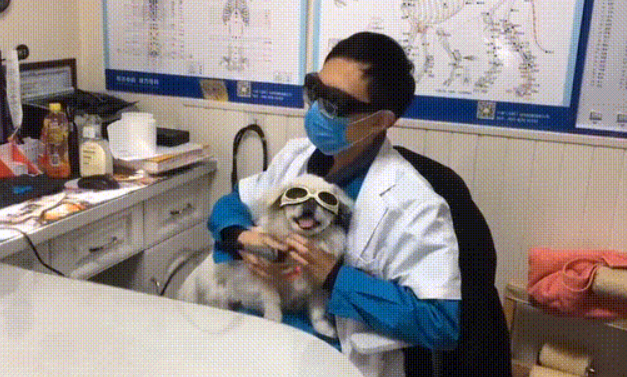 治疗时配合度极高