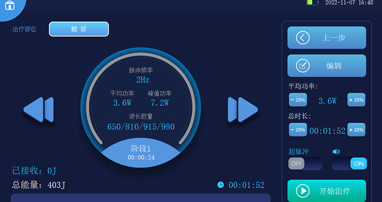 动物激光理疗仪
