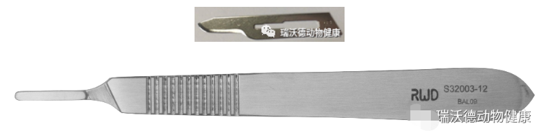 手术刀与刀片