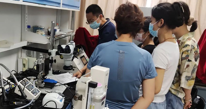 必威官方首页官网betway微电极拉制仪助力全球100+高校及科研院所拉制玻璃微电极