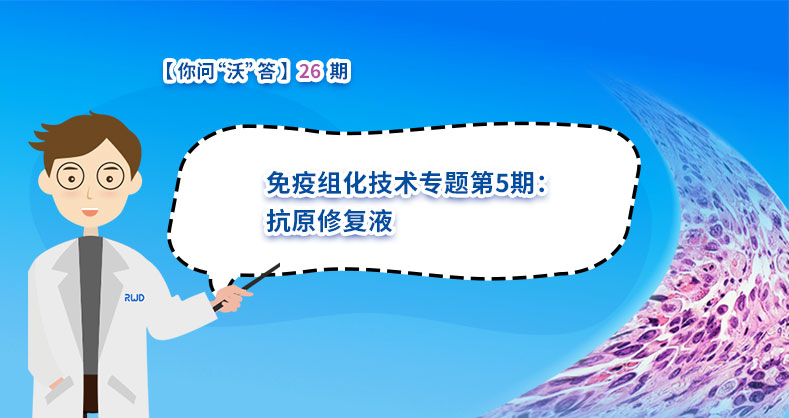 免疫组化技术专题第5期之抗原修复液