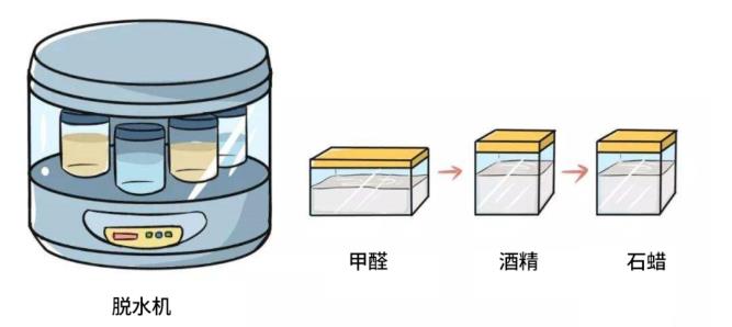 脱水机