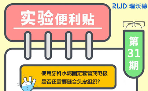 使用牙科水泥固定套管或电极是否还需要缝合头皮组织？